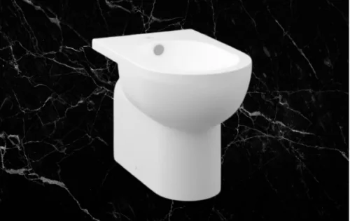 bidebtwopus